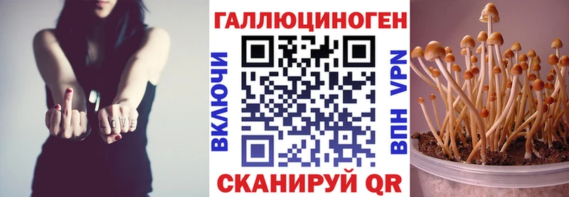 Псилоцибиновые грибы GOLDEN TEACHER Лодейное Поле
