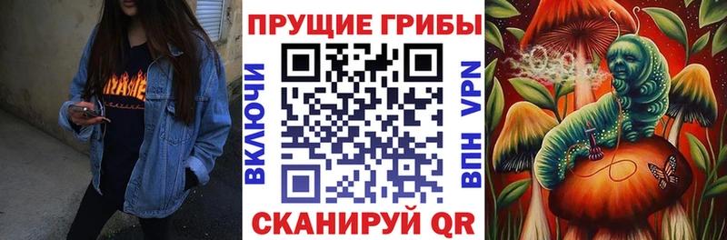 blacksprut ССЫЛКА Лодейное Поле Галлюциногенные грибы Magic Shrooms
